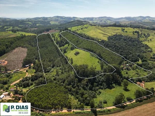 Sítio em Pedra Bela/SP: Casa Principal, Área de Lazer e Pomar - Prontinho para Morar