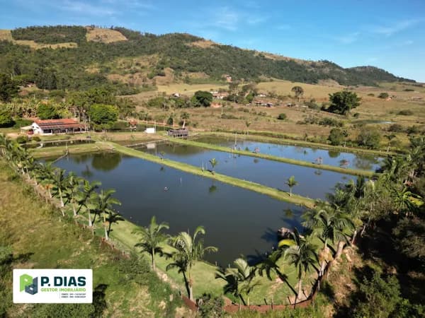 Lindo Sítio com estrutura para produção de peixes em Socorro, Interior de São Paulo