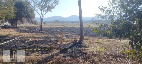 Lote/Terreno em Itaperuna - Caiçara
