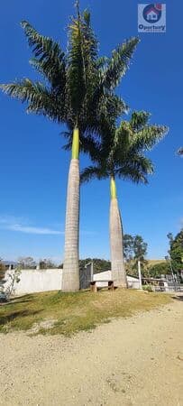 Fazenda/Sítios/Chácaras em Mogi das Cruzes - Centro