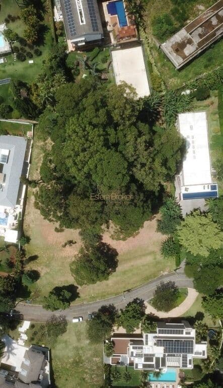 Terreno disponível para venda no bairro Tamboré - Barueri/SP