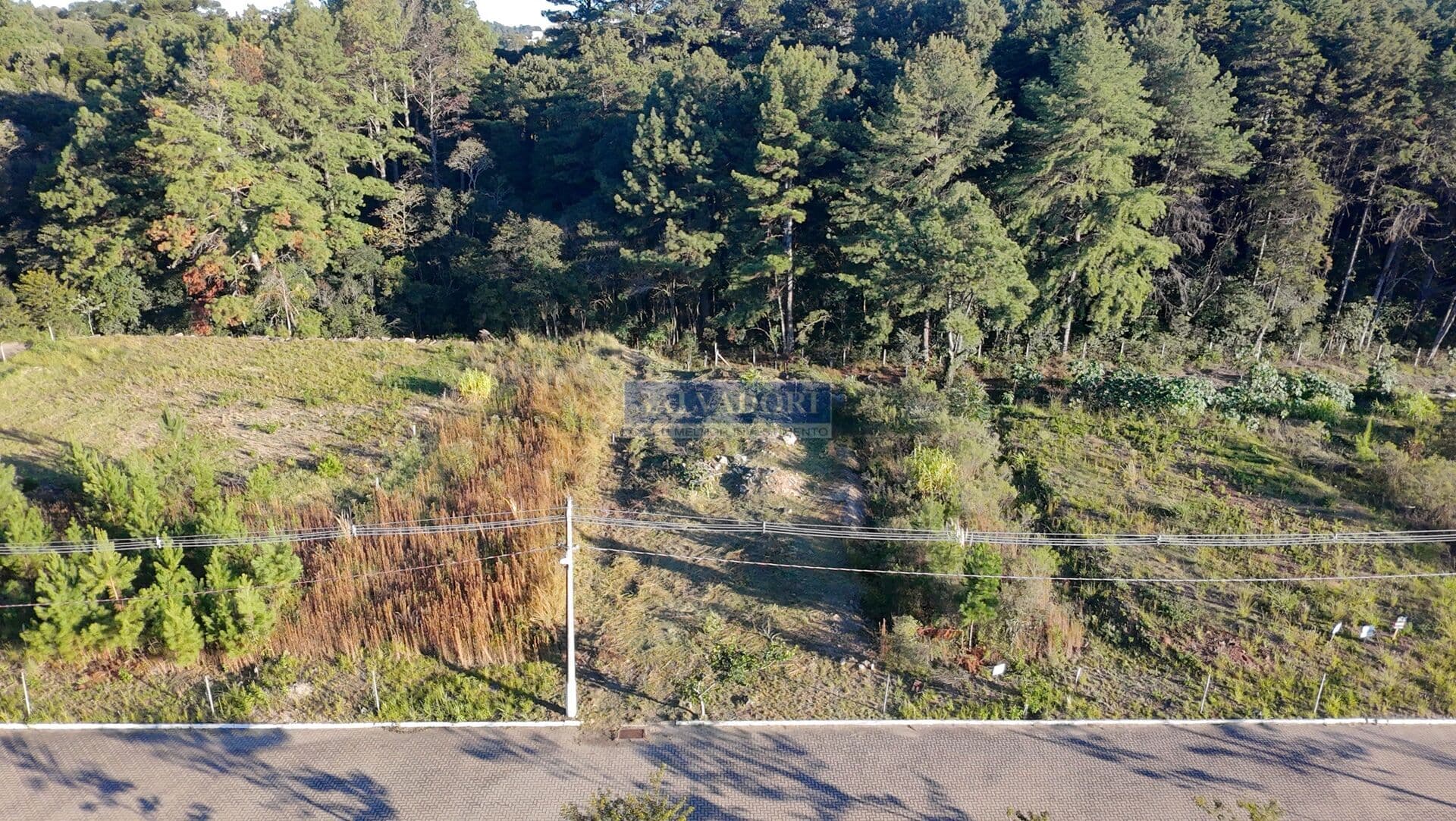Terreno amplo