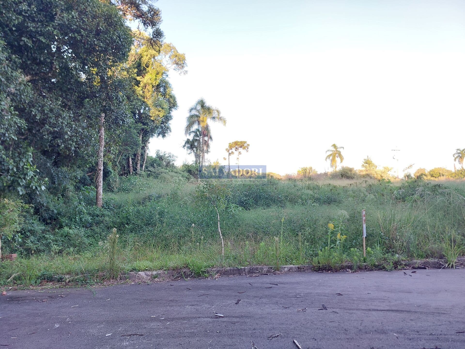 Lote/Terreno em Garibaldi - Alfândega