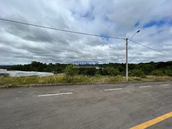 Terreno amplo