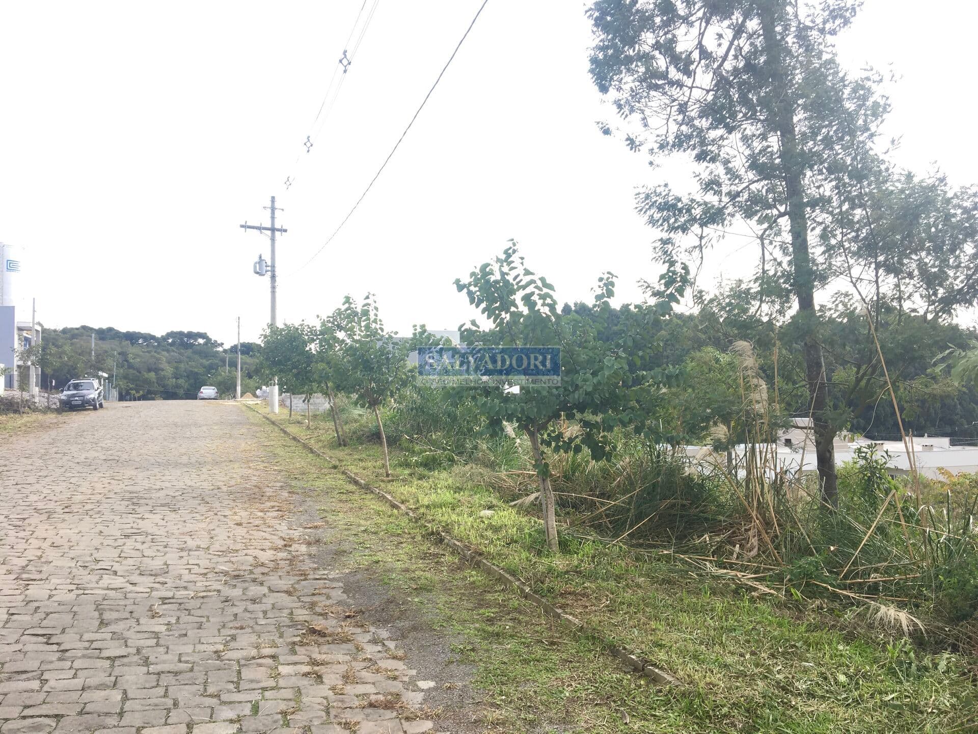 Terreno pronto para construir