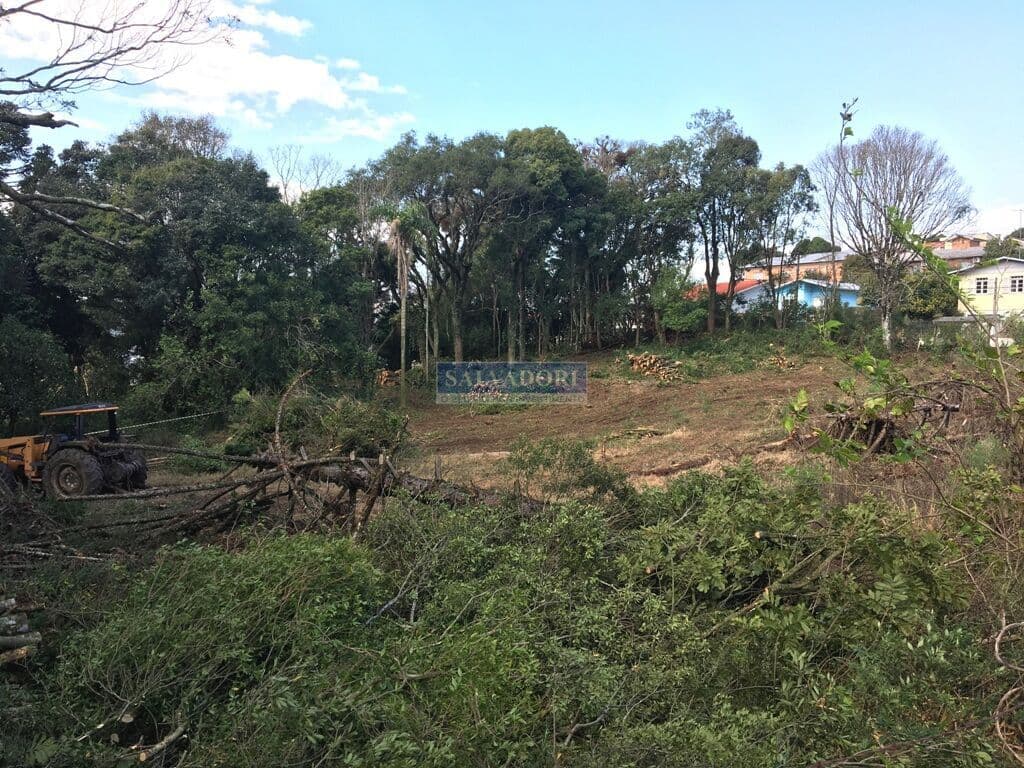 Amplo terreno