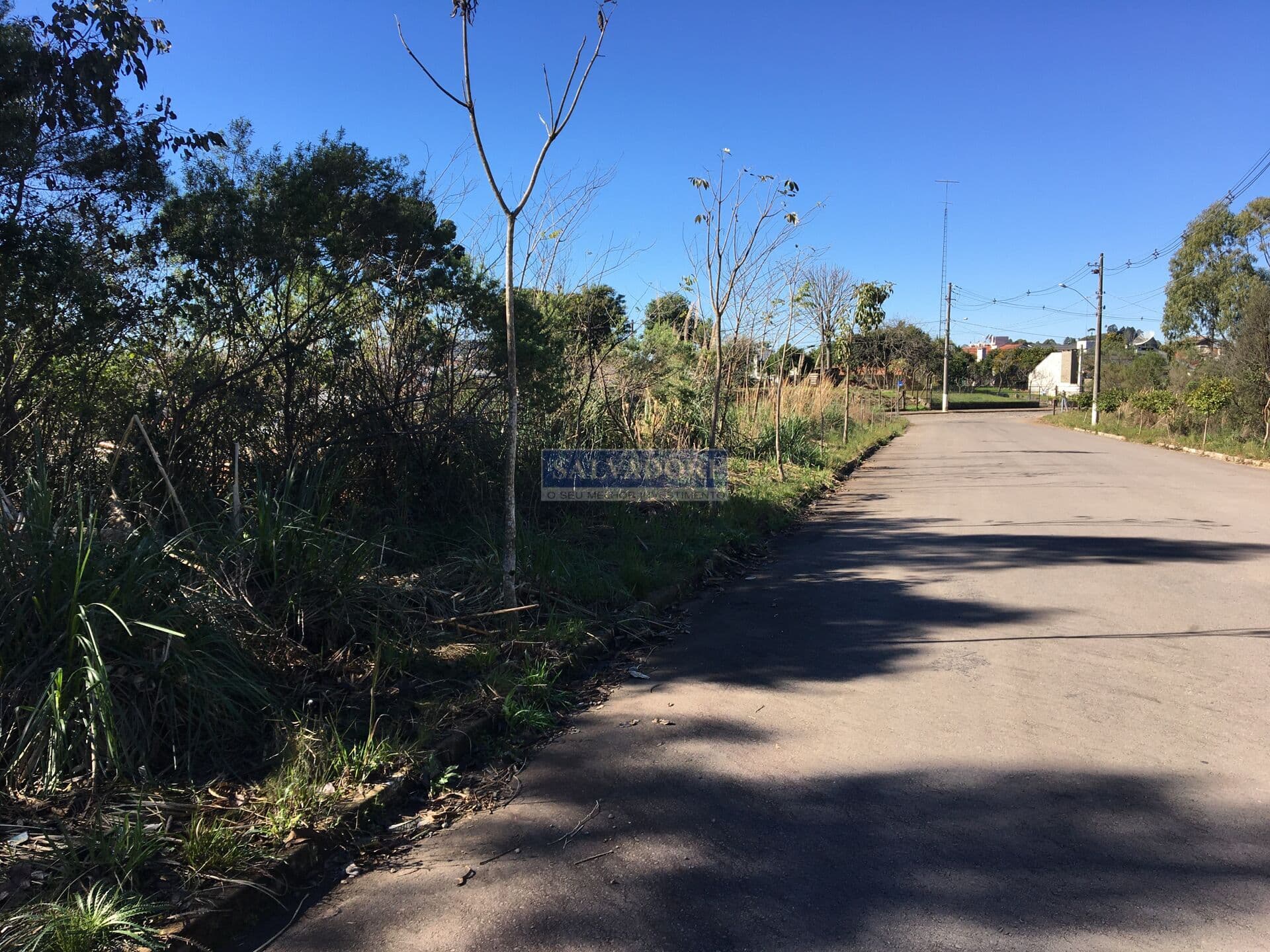 Terreno no Bairro Alfândega