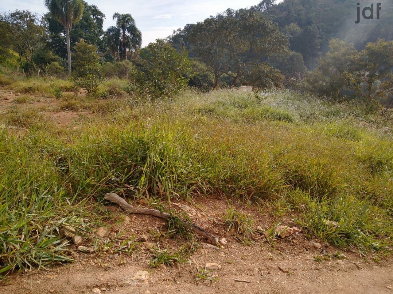 Terreno com vista e próximo do asfalto