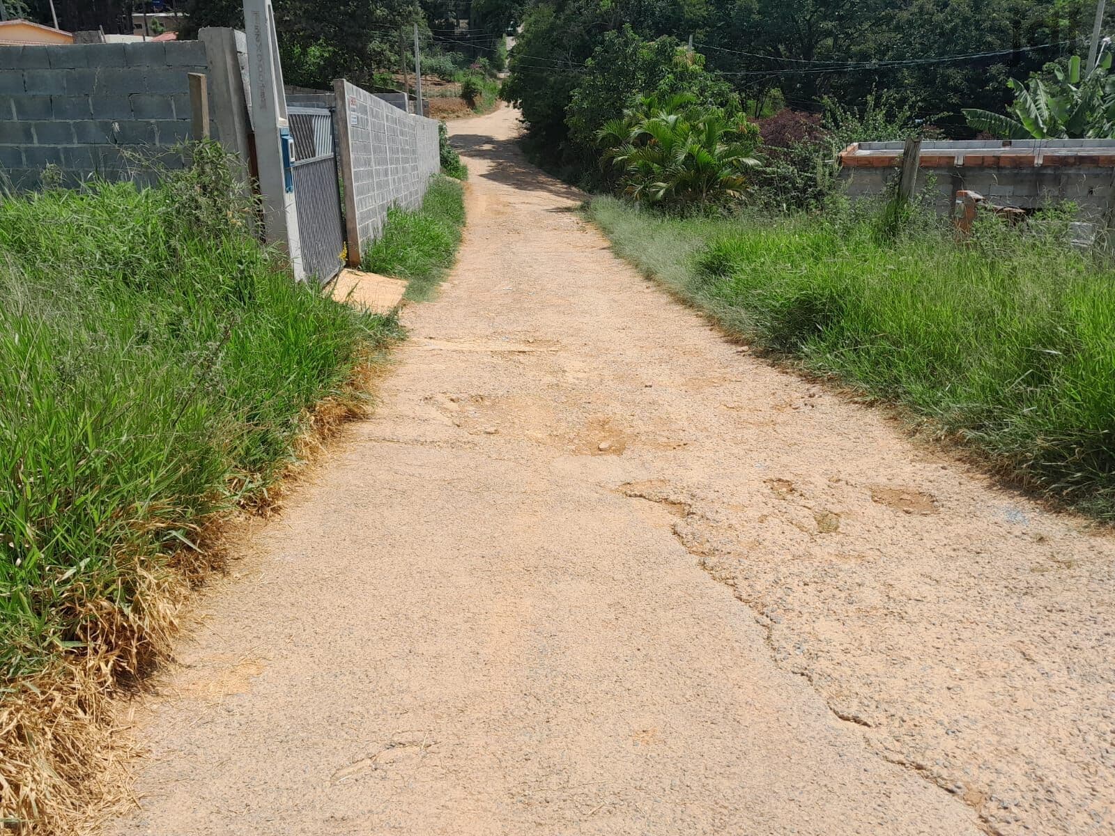Terreno para formação de chácara!