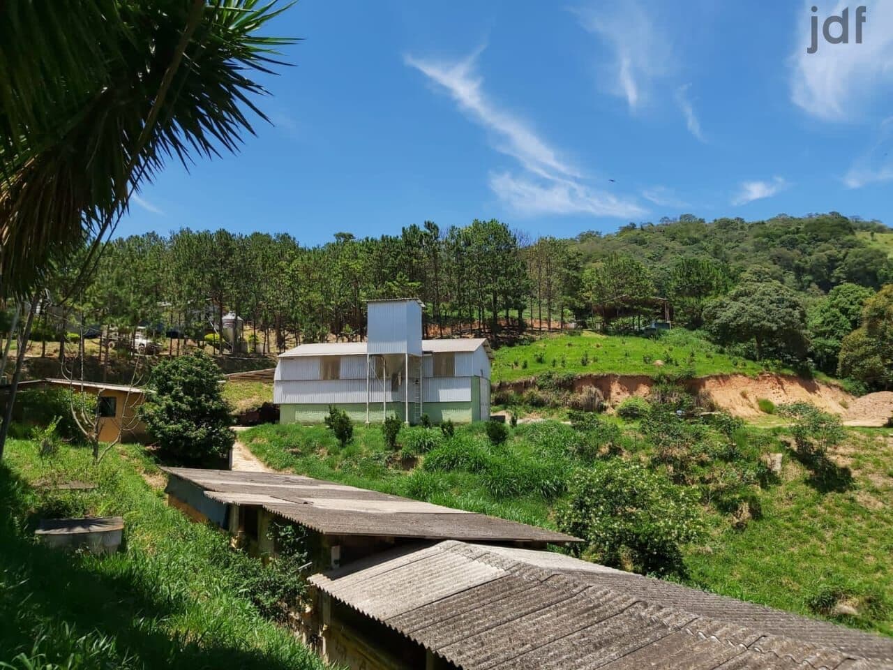 Sítio com granja de codornas formada