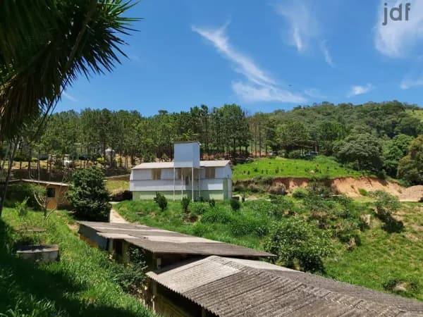 Sítio com granja de codornas formada