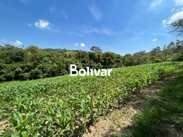 Fazenda/Sítios/Chácaras em São Miguel Arcanjo - Brejaúva
