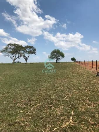 Fazenda/Sítios/Chácaras em Barretos - Zona Rural