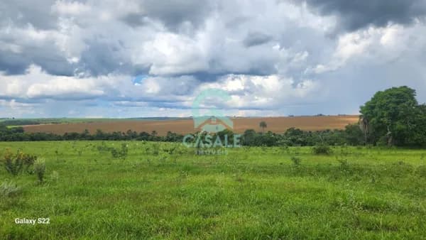 Fazenda/Sítios/Chácaras em Uberlândia - Centro