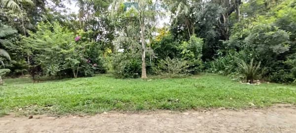 Lotes a Venda em Morretes