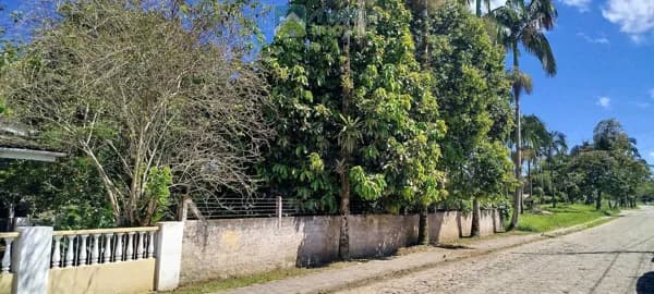 Terreno Lote em Vila Santo Antônio, Morretes/PR