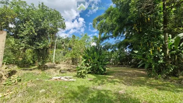 Terreno/Lote pronto para construir, área urbana 500m² no Porto de Cima, em frente ao rio Nhundiaquara em Morretes PR.