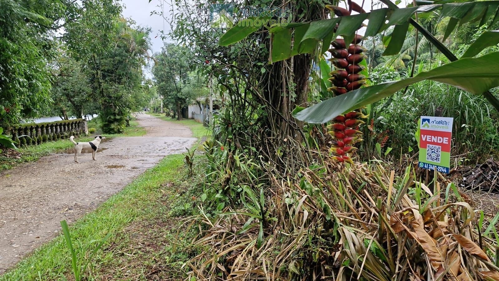 Terreno/Lote pronto para construir, área urbana 500m² no Porto de Cima, em frente ao rio Nhundiaquara em Morretes PR.