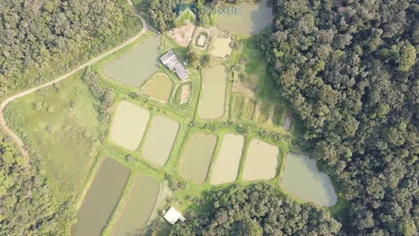 Fazenda/Sítios/Chácaras em Morretes - CAPITUVA