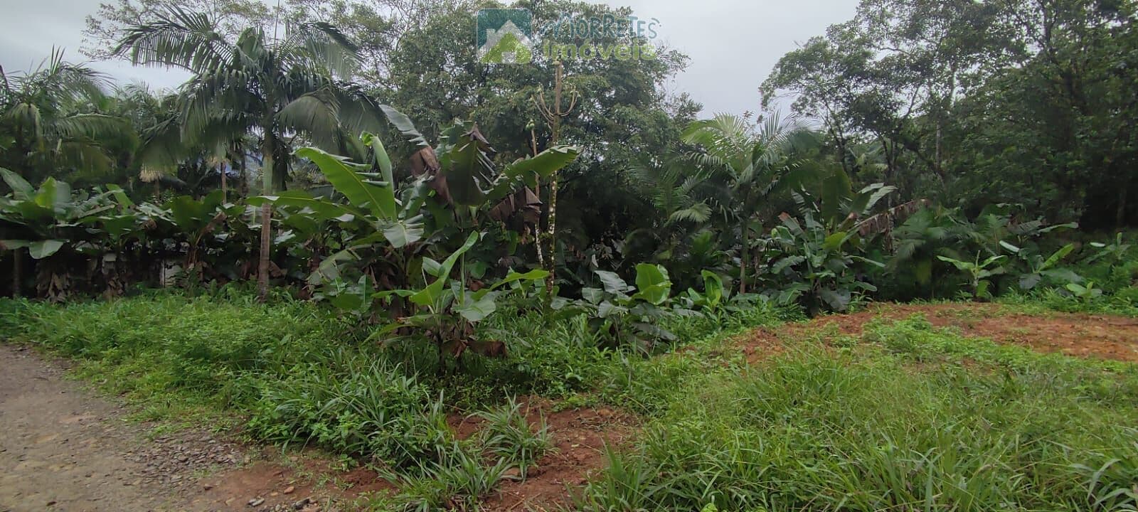 Lote/Terreno em Morretes - São João da Graciosa