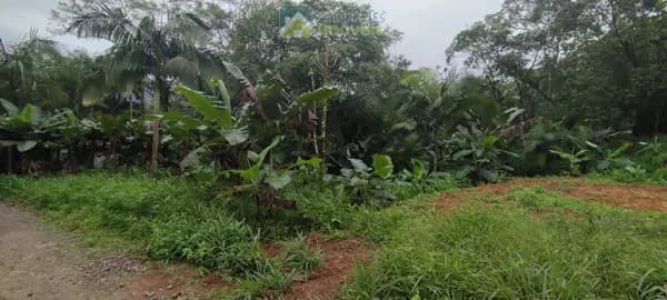 Lote/Terreno em Morretes - São João da Graciosa