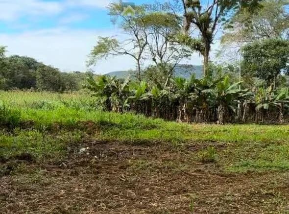 Fazenda/Sítios/Chácaras em Morretes - Rio Sagrado