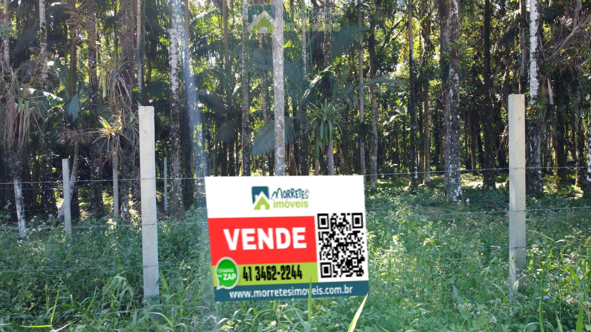 Terreno Lote com 1.500m² plano, frente para estrada, próximo 200 metros da ponte do nhundiaquara Morretes/PR