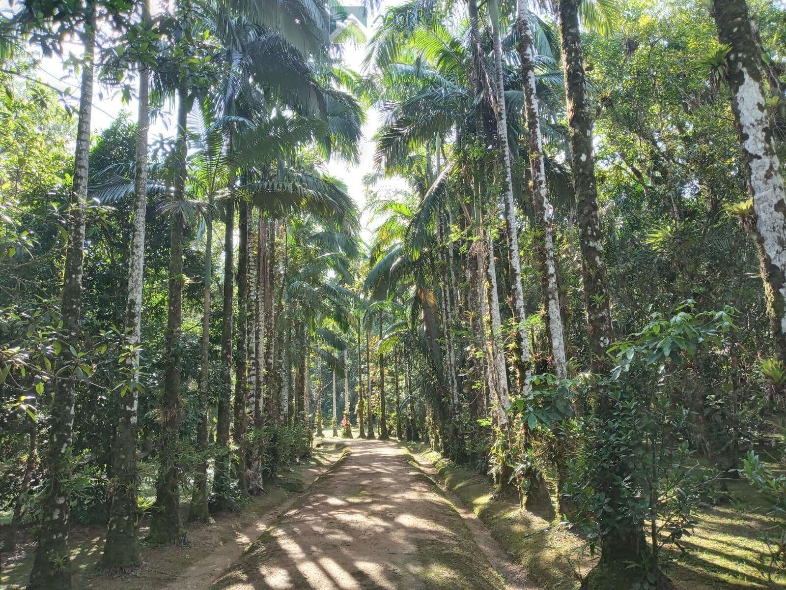 Chácara com 306.287 m² apenas 3Km do Centro Histórico de Morretes