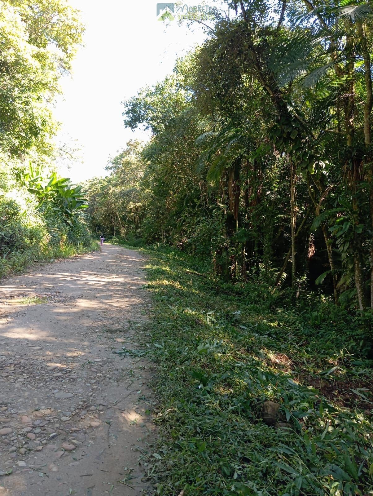 Fazenda/Sítios/Chácaras em Morretes - CAPITUVA