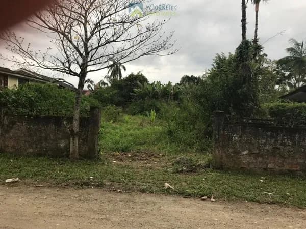 🏡 Terreno 410 m² na Vila das Palmeiras _ Permite Até 4 Pavimentos _ Morretes-PR