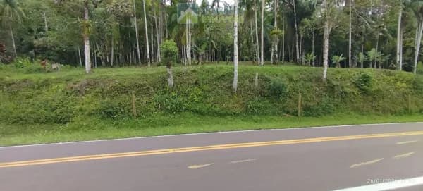 Área Residencial/Comercial em Morro Grande, Morretes/PR