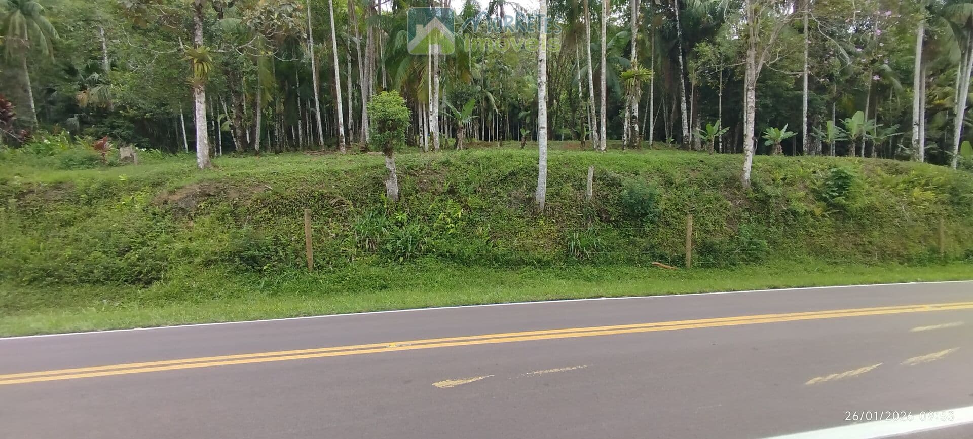Área Residencial/Comercial em Morro Grande, Morretes/PR