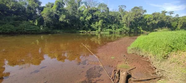 Lote/Terreno em Morretes - Vila das Palmeiras