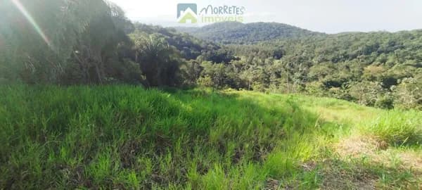 Lote/Terreno em Morretes - Anhaia