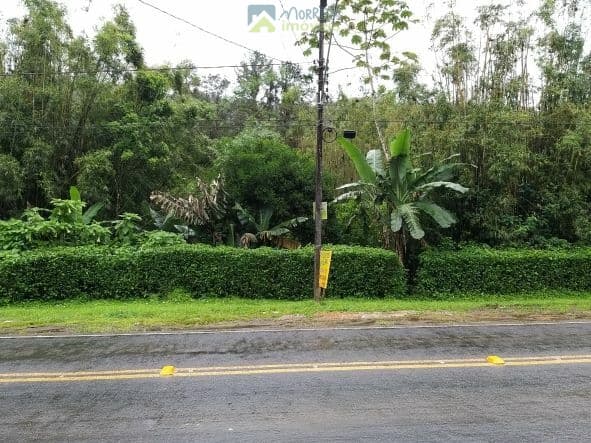 Lote/Terreno em Morretes - São João da Graciosa