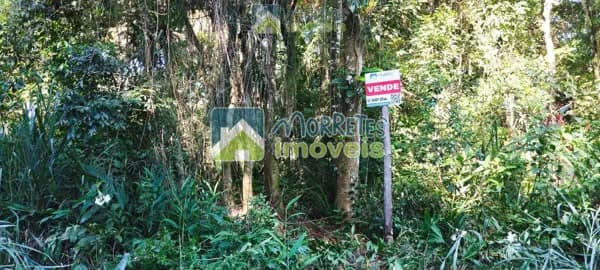 Fazenda/Sítios/Chácaras em Morretes - Cruz Alta