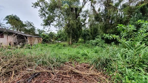 Lote/Terreno em Morretes - Rocio