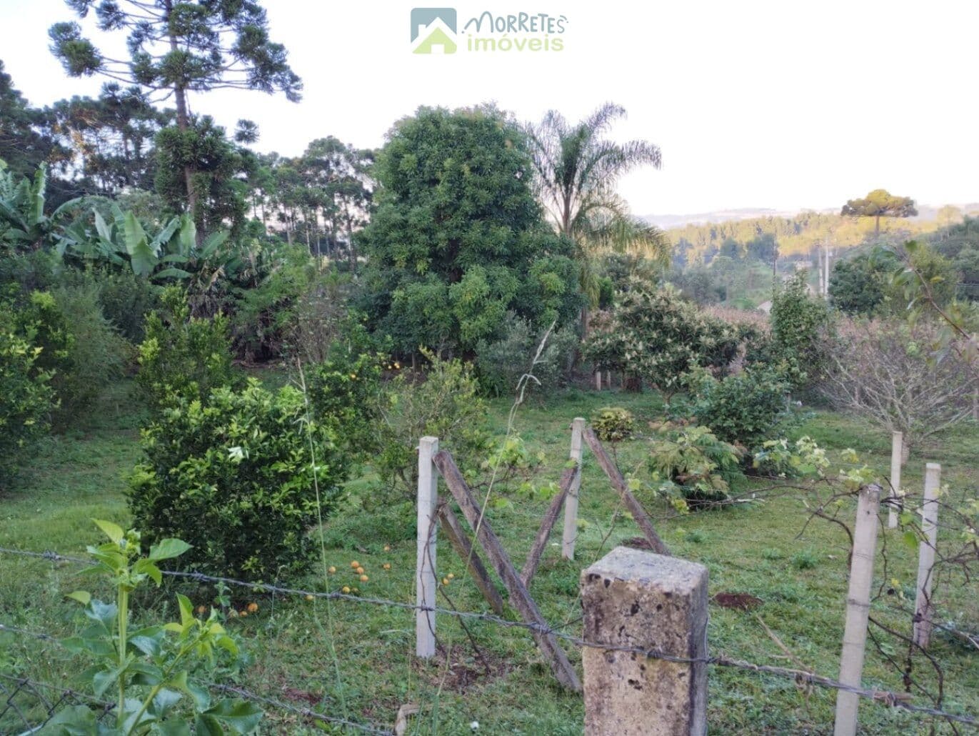 Terreno / Lote
