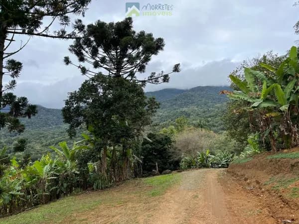 Chácara 36.600 m² em Morretes com 3 tanques de Peixes 1500 pés de bananas e rio passando dentro da propriedade