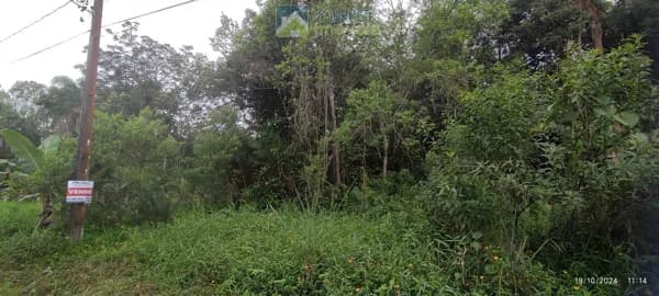 Lote/Terreno em Morretes - Barreiros