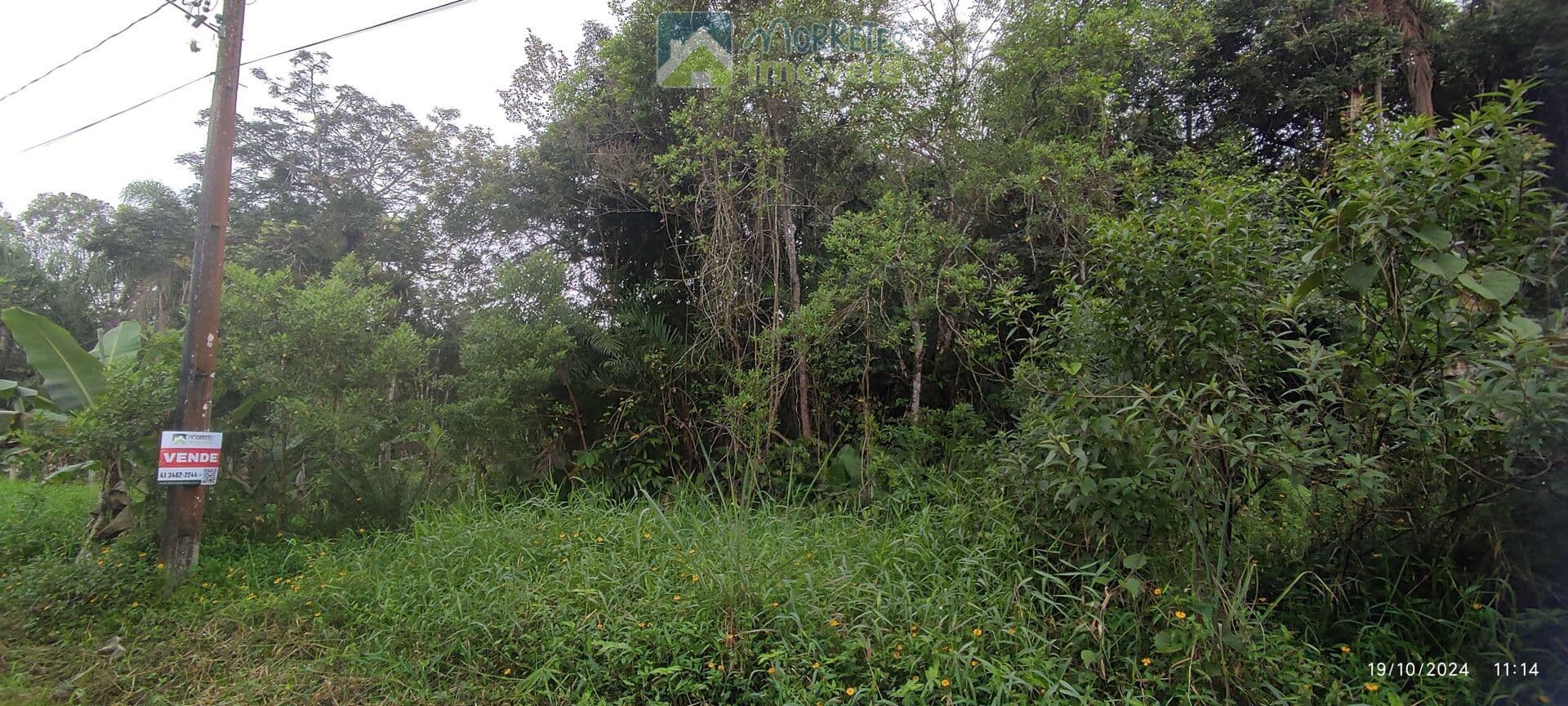 Lote/Terreno em Morretes - Barreiros