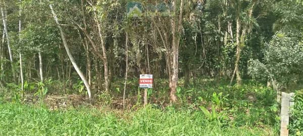 Área Residencial em Barreiros, Morretes/PR