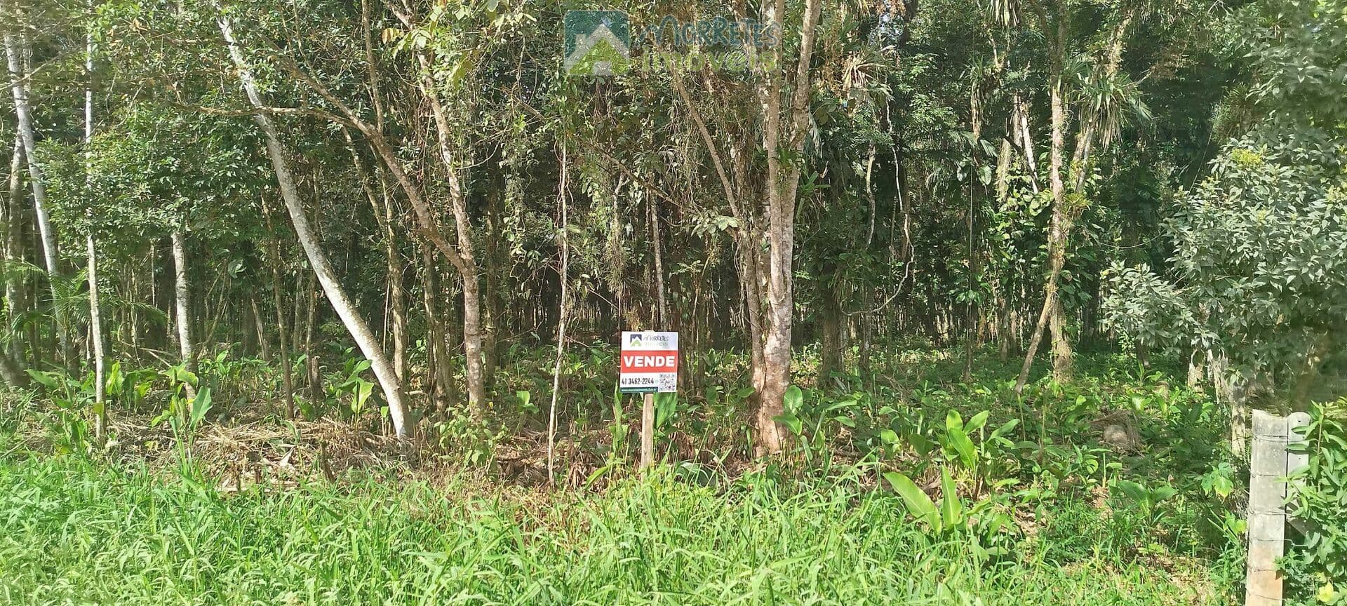 Área Residencial em Barreiros, Morretes/PR