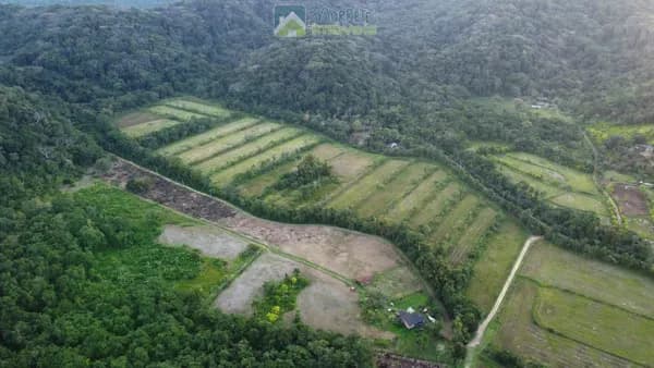 Sítio 14 Alqueires em Itaqui Atividade Cultivo de Arroz ou Piscicultura capacidade mais de 26 Tanques no Município de Guaraqueçaba PR
