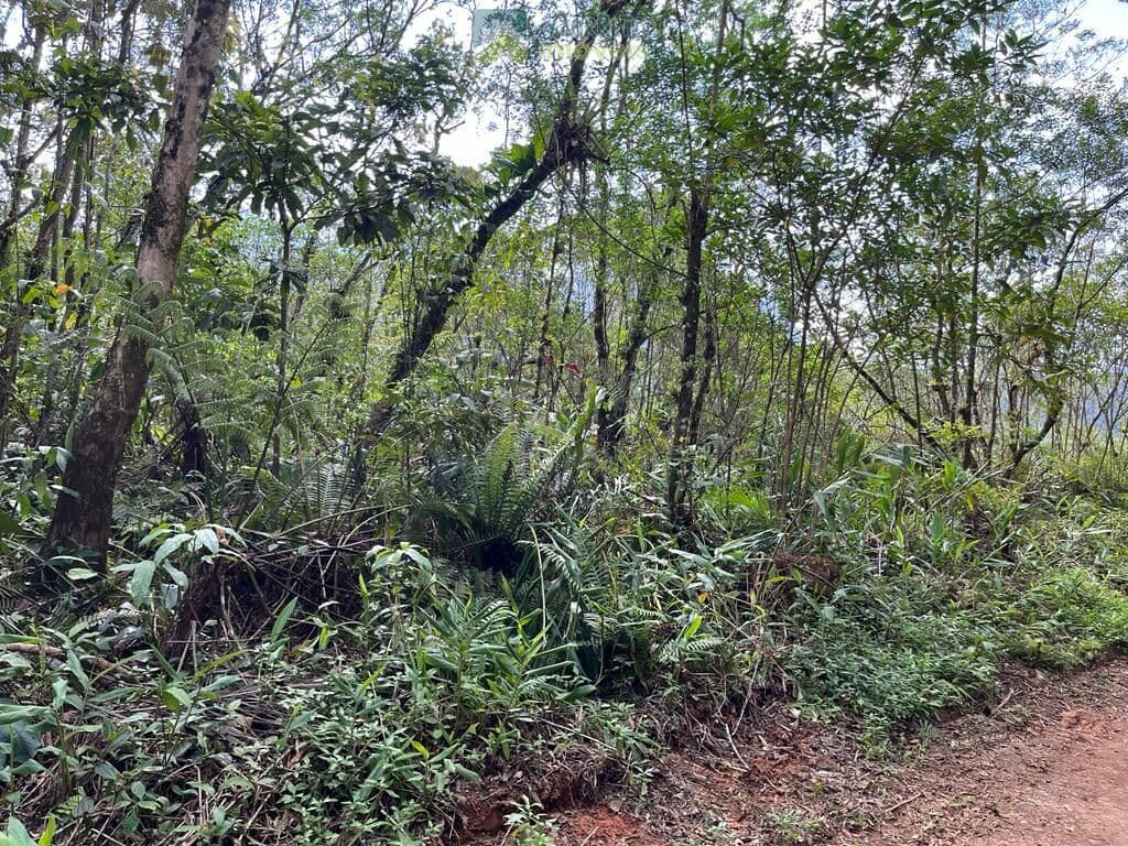 Lote/Terreno em Morretes - São João da Graciosa