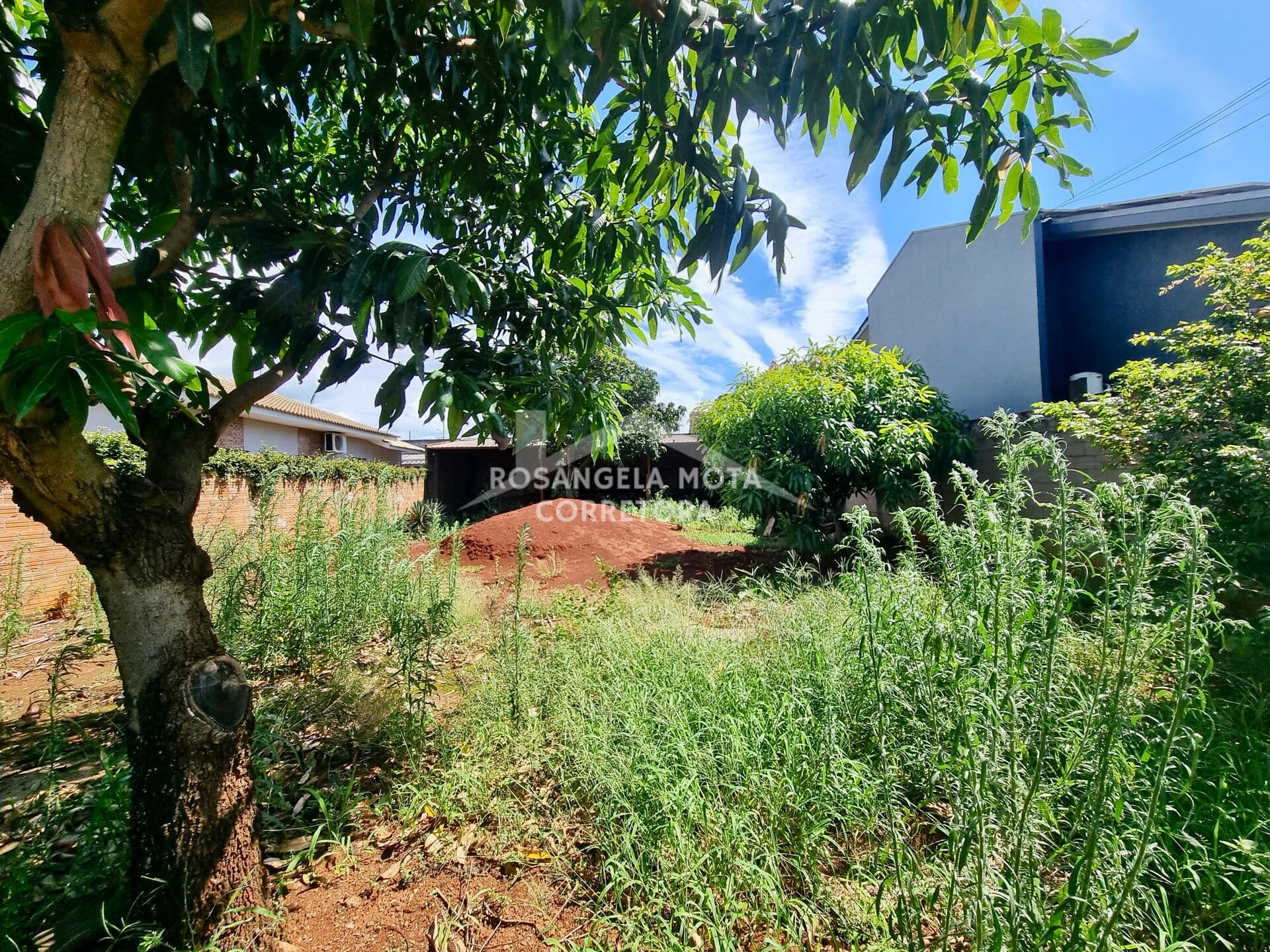 Terreno Murado à Venda