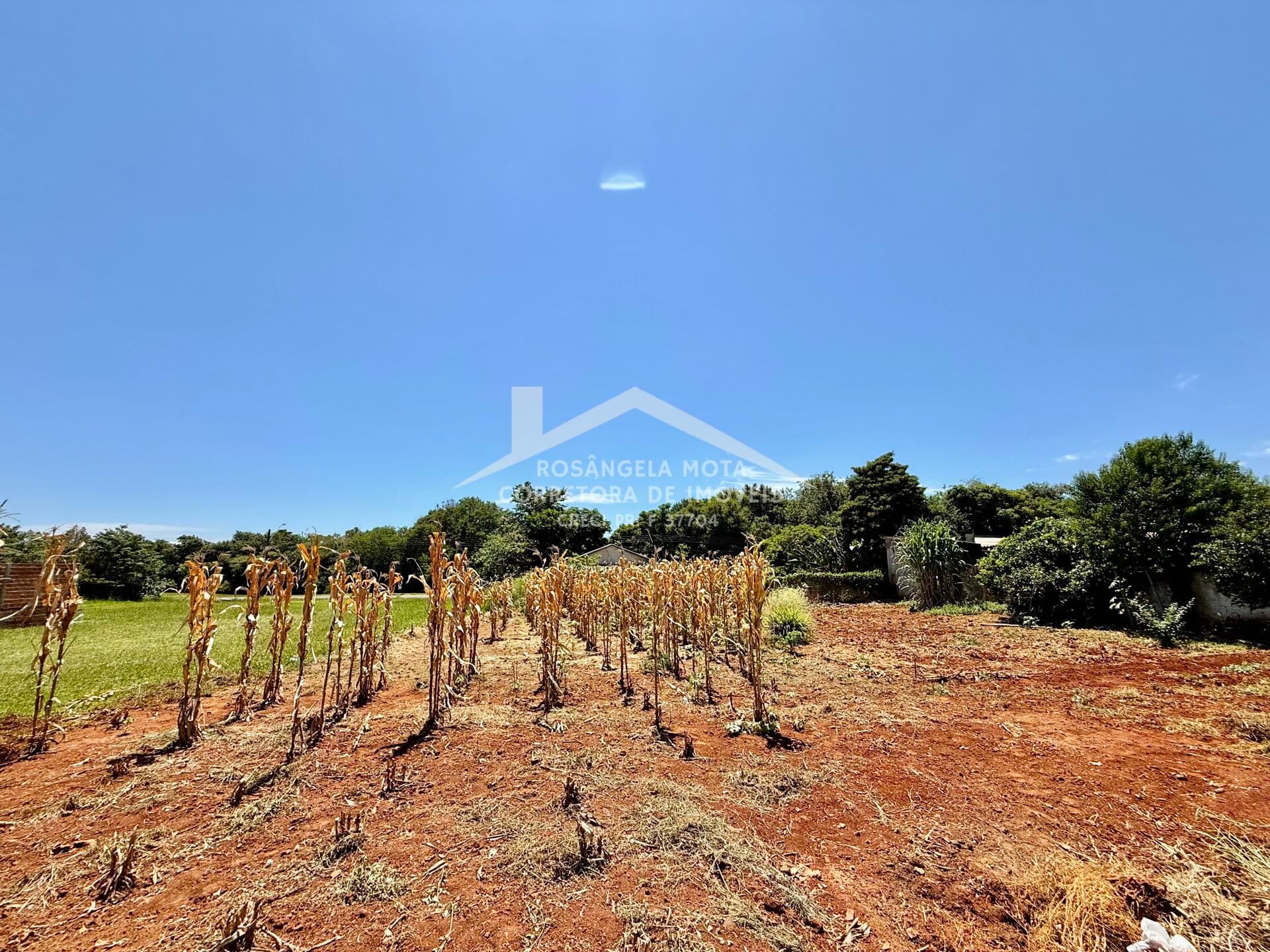 Terreno à Venda