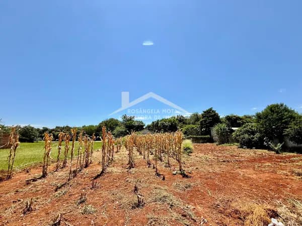 Terreno à Venda