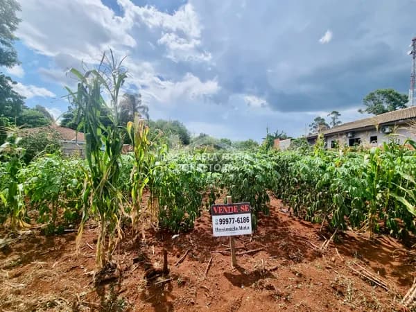 Terreno Comercial/Residencial à Venda