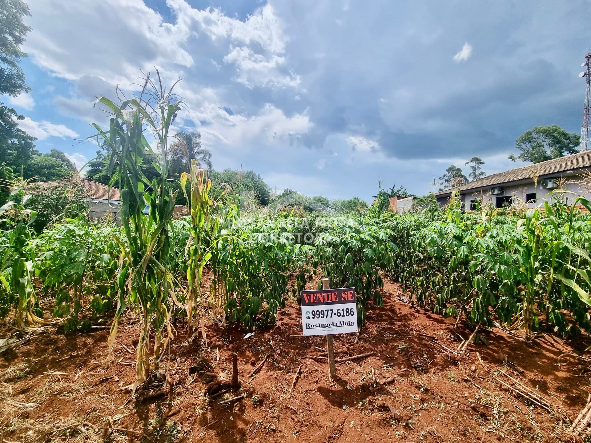 Terreno Comercial/Residencial à Venda
